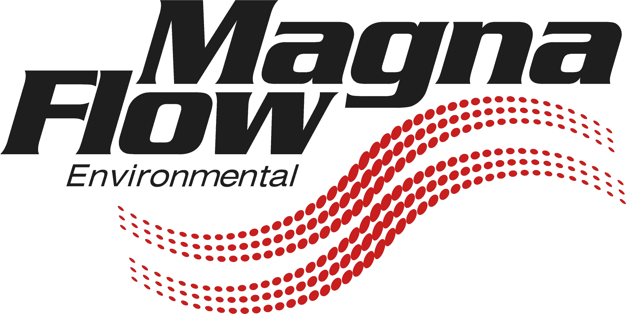 Magna Flow